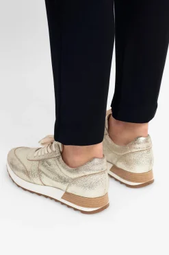 Beate Trainer