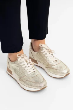 Beate Trainer