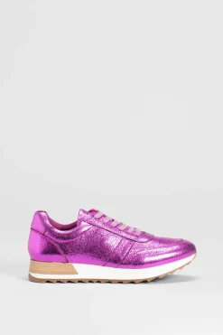 Beate Trainer