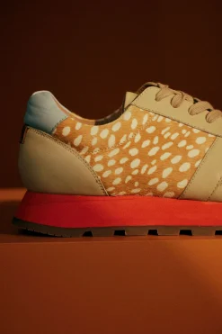 Orten Trainer